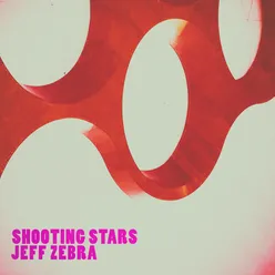 Shooting Stars-Zebra Deep Mix