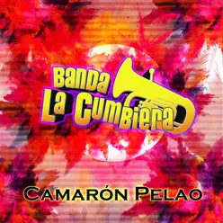 Camarón Pelao