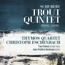 Piano Quintet in A Major, D. 667 "Trout": IV. Tema con variazione. Andantino – Allegretto