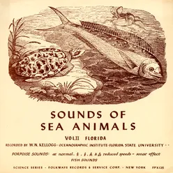 Sea Animals - Cowfish with Narration