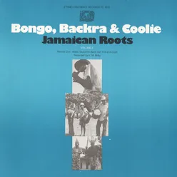 Bongo, Backra & Coolie: Jamaican Roots, Vol. 2