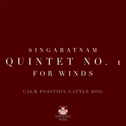 Quintet No. 1 for Winds: IV. Allegretto Con Moto