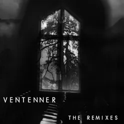 The Remixes