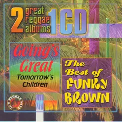 The Best of Funky Brown