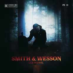 Smith & Wesson