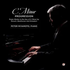 Sonata in C Minor, D. 958: III. Menuetto: Allegro