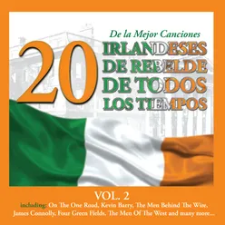 20 de la Mejor Canciones Irlandeses de Rebelde de Todos los Tiempos, Vol. 2