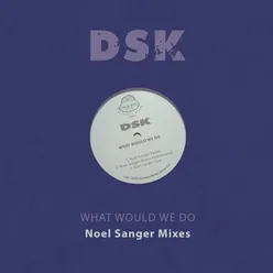What Would We Do-Noel Sanger Remix Instrumental