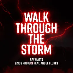 Walk Through the Storm