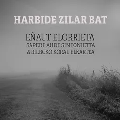 Harbide zilar bat