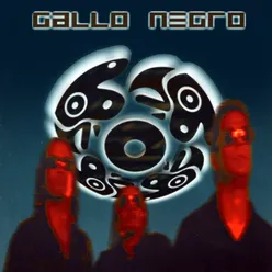 Gallo Negro