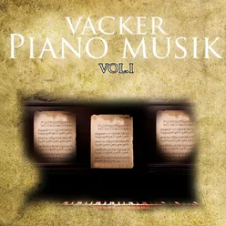 Vacker piano musik, Vol. 1