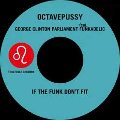 If the Funk Don't Fit (Tentacle Groove Version)-Single Edit
