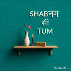 Shabnam Si Tum - Single
