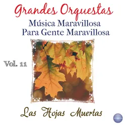 Grandes Orquestas - Música Maravillosa para Gente Maravillosa, Vol. 11