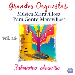 Grandes Orquestas - Música Maravillosa para Gente Maravillosa, Vol. 16