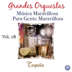 Grandes Orquestas - Música Maravillosa para Gente Maravillosa, Vol. 18