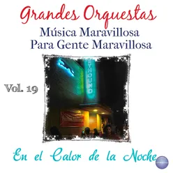 Grandes Orquestas - Música Maravillosa para Gente Maravillosa, Vol. 19