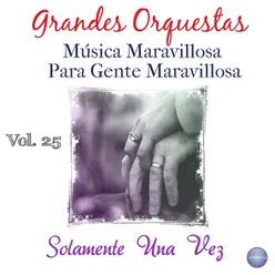 Grandes Orquestas - Música Maravillosa para Gente Maravillosa, Vol. 25
