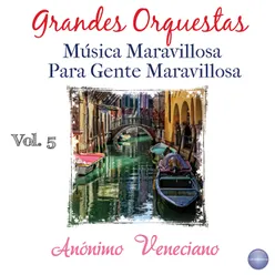 Grandes Orquestas - Música Maravillosa para Gente Maravillosa Vol. 5