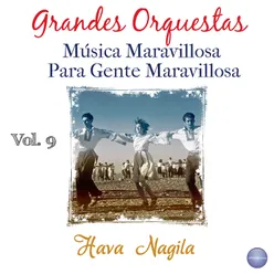 Grandes Orquestas - Música Maravillosa para Gente Maravillosa Vol. 9