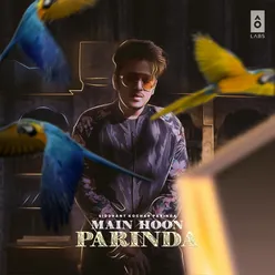 Main Hoon Parinda