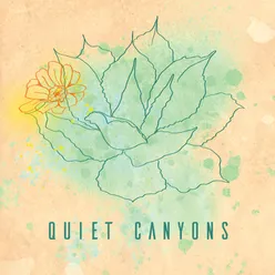 Quiet Canyons