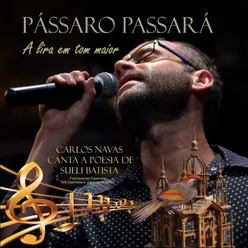 Pássaro Passará