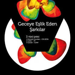 Geceye Eşlik Eden Şarkılar