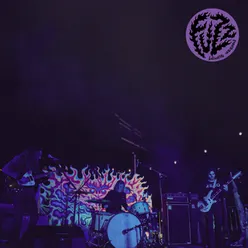 Time Collapse Live