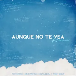 Aunque No Te Vea Remix