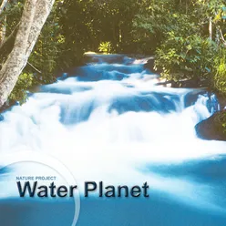 Planeta Agua