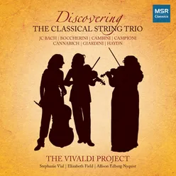 Trio in B-Flat Major, Op. 3, No. 1: I. Andante con expressione