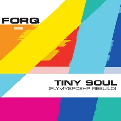 Tiny Soul (flymyspcshp rebuild)