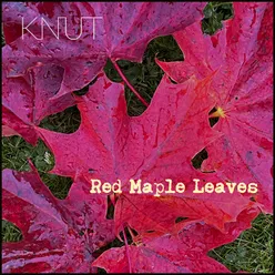 Red Marple Leaves