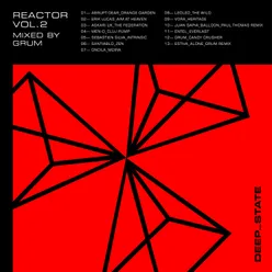 Reactor, Vol. 2 DJ Mix