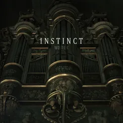 INSTINCT VI