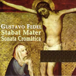 Stabat Mater: VII. Vidit Suum