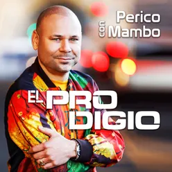 Perico Con Mambo En Vivo