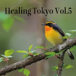 Healing Tokyo, Vol. 5 (Healing Tokyo Ver.)
