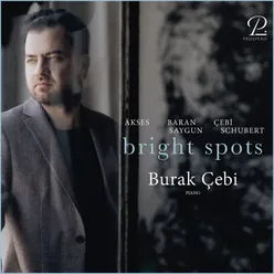 Bright Spots Suite for Piano: IV. Euphoria