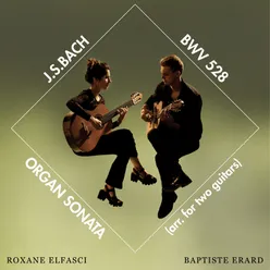 Organ Sonata No. 4 in E Minor, BWV 528 (Arr. for two guitars by Roxane Elfasci): III. Un poco Allegro