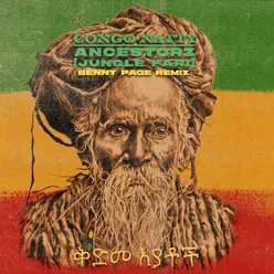 Ancestorz (Jungle Fari) Benny Page Remixes