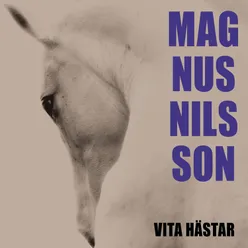 Vita Hästar