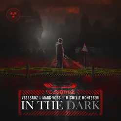 In the Dark-Extended Version
