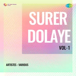 Surer Dolaye Vol - 1
