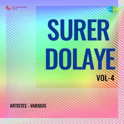 Surer Dolaye Vol - 4