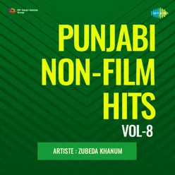 Punjabi Non - Film Hits Vol - 8