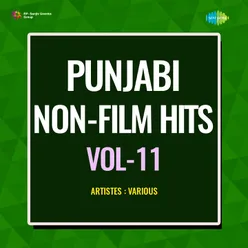 Punjabi Non - Film Hits Vol - 11