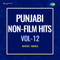 Punjabi Non - Film Hits Vol - 12